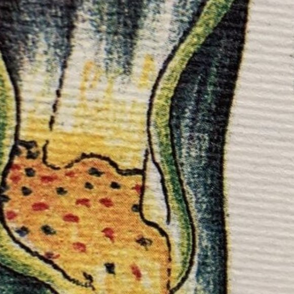 Luigi Serafini Framable Print 13" x 8" Unframed - Picture 8 of 12